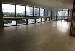 Hana (D10), Condominium #582981761